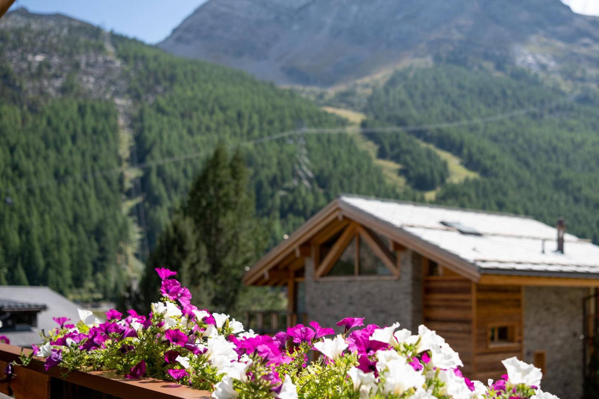 Haus Avalanche Apartment Saas-Fee Cameră foto